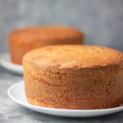 Plain Sponge Cake Mix